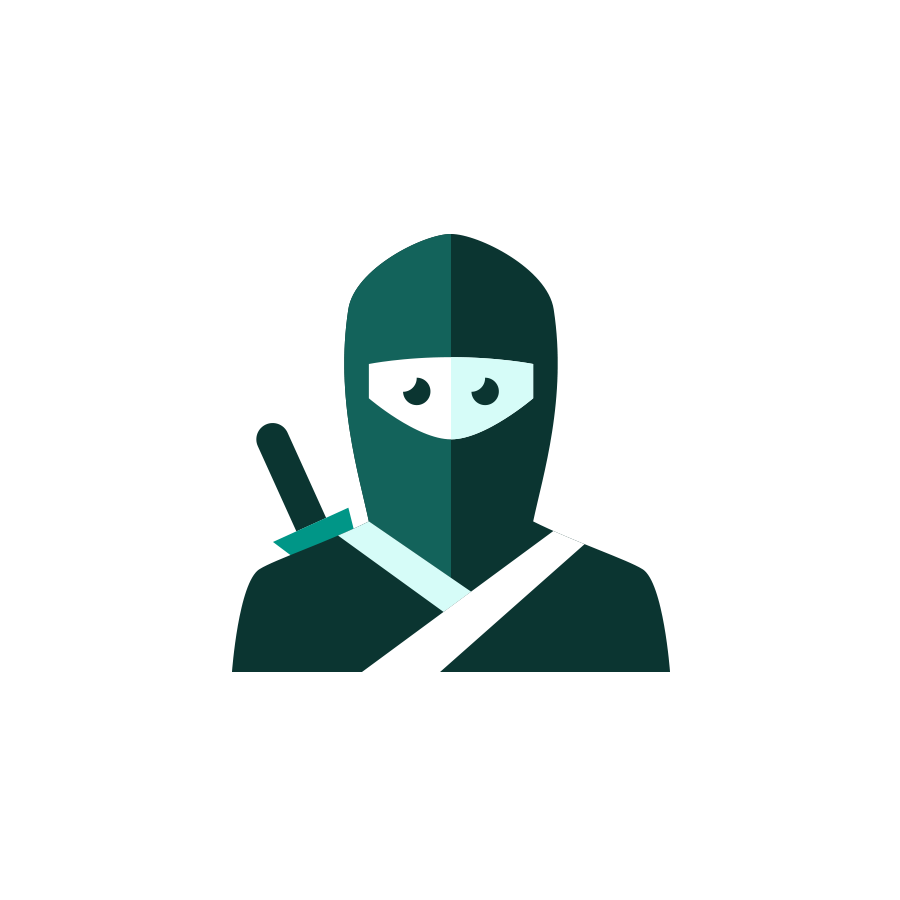 CSS Ninja